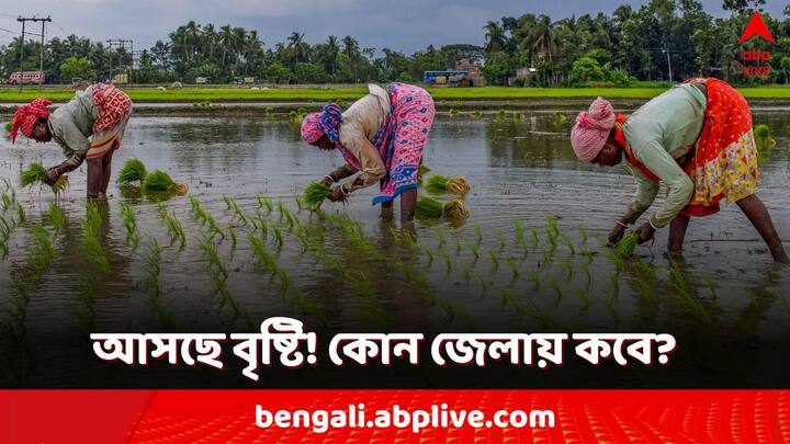 Weather Update: শনিবার থেকে দক্ষিণবঙ্গের একাধিক জেলায় ঝড়বৃষ্টির পূর্বাভাস দিয়েছে আলিপুর আবহাওয়া দফতর। বজ্রবিদ্যুৎ সহ বৃষ্টির সঙ্গে চলতে পারে দমকা হাওয়াও।