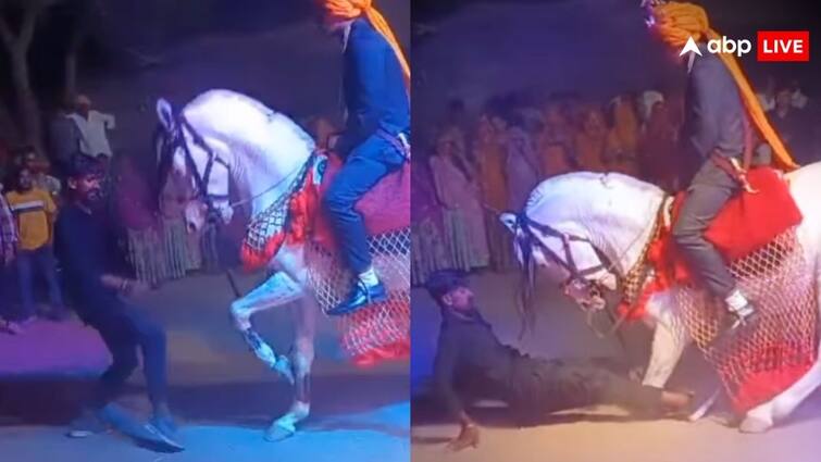 man dance with horse in wedding netizens reacted hilariously video gets viral on social media Horse Dance Viral Video: घोड़े के साथ आदमी ने किया खतरनाक डांस, सोशल मीडिया पर खूब वायरल हो रहा है वीडियो