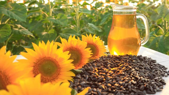 Sunflower is packed with a lot of nutrients, from a healthy heart to cancer prevention. Know the ten key benefits of including sunflower seeds in your diet.