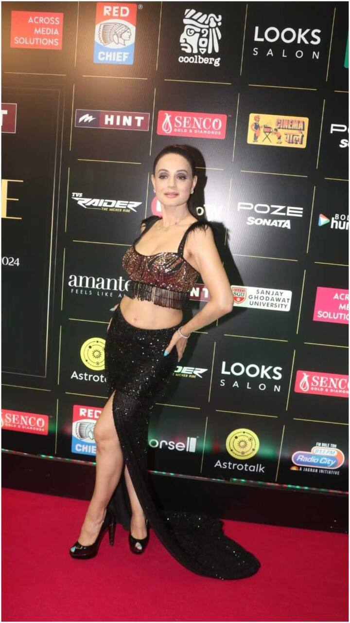 અભિનેત્રી તેની આઇકોનિક ફિલ્મ ગદરની સિક્વલ 'ગદર 2'માં જોવા મળી હતી. આ ફિલ્મે બોક્સ ઓફિસ પર જોરદાર કમાણી કરી હતી.