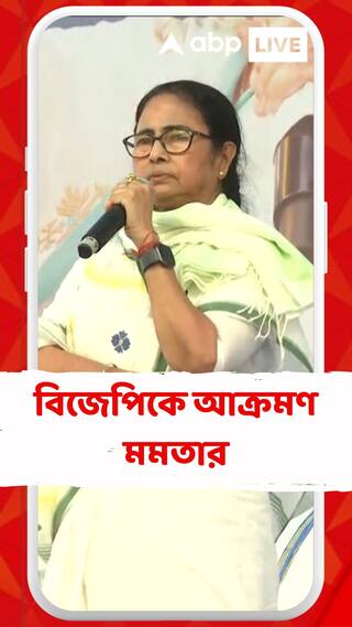 'সবাই চোর, আর মোদিবাবু একা সাধু',আক্রমণ মমতার