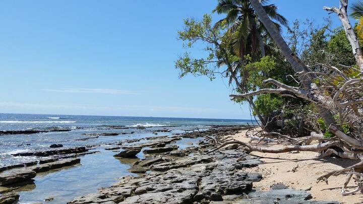 Wallis And Futuna: পলিনেশিয়ার অন্তর্গত ওয়ালিস অ্যান্ড ফুটুনা দ্বীপপুঞ্জ পৃথিবীর অন্যতম ক্ষুদ্র রাজতন্ত্র। ফ্রান্সের উপকূলে কিছু দ্বীপকে নিয়ে গঠিত হয়েছে। ১৪০ বর্গ কিলোমিটার আয়তনের ওয়ালিস অ্যান্ড ফুটুনা দ্বীপপুঞ্জের শাসক নিযুক্ত করে ফ্রান্স। তবে এখনও সেখানে তিনটি রাজতন্ত্র কায়েম রয়েছে। ছবি: পিক্সাবে।