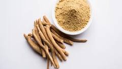 Belly Fat: পেটের মেদ সহজে ঝরাতে খাবারে যোগ করতে পারেন এই ৫ মশলা-ভেষজ উপকরণ, তালিকায় কী কী রয়েছে? দেখে নিন