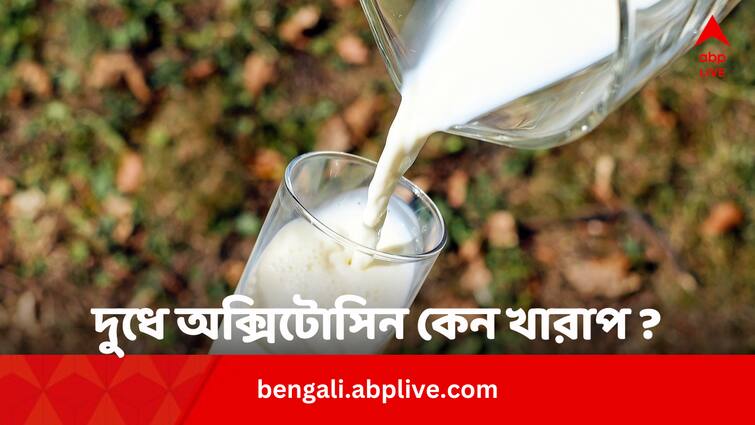 Oxytocin In Milk Ban India Reason And Tips To Stay Safe Bengali News Oxytocin In Milk: দুধে অক্সিটোসিন থাকলে কড়া শাস্তির নির্দেশ, কী এটি ? কেন ক্ষতিকর ?