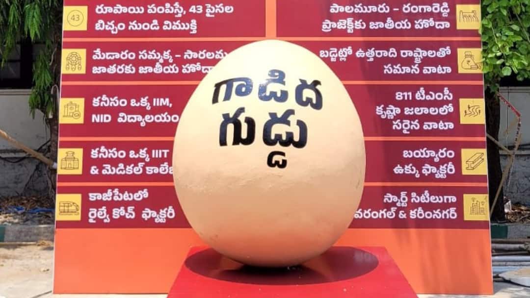 Gadida Guddu: ఏంటీ గాడిద గుడ్డు? ఈ పదం వాడుకలోకి ఎలా వచ్చింది? What is donkey egg why gadida guddu word come into use Gadida Guddu: ఏంటీ గాడిద గుడ్డు? ఈ పదం వాడుకలోకి ఎలా వచ్చింది?