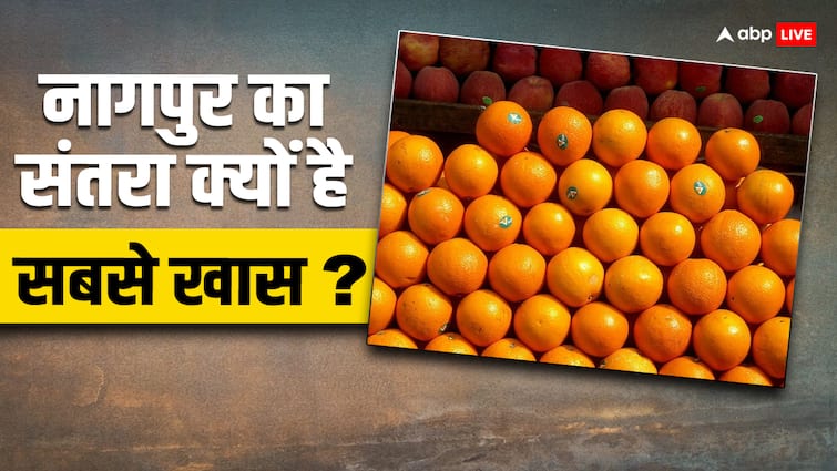 this is the reason behind why nagpur oranges are so famous in the world नागपुर का ऑरेंज आखिर इतना फेमस क्यों? जान लें कारण