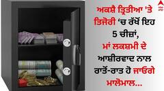 ਤਿਜੋਰੀ 'ਚ ਰੱਖੋ ਇਹ 5 ਚੀਜ਼ਾਂ, ਮਾਂ ਲਕਸ਼ਮੀ ਦੇ ਆਸ਼ੀਰਵਾਦ ਨਾਲ ਰਾਤੋਂ ਰਾਤ ਹੋ ਜਾਓਗੇ ਮਾਲੋਮਾਲ