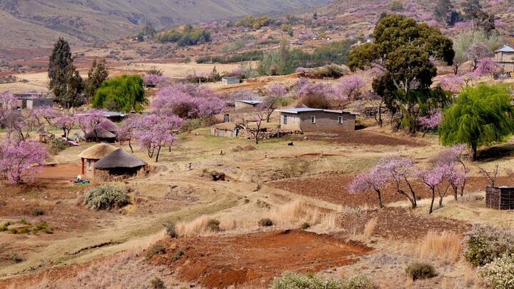 Lesotho: চারিদিক থেকে দক্ষিণ আফ্রিকা ঘিরে রেখেছে লাসুতুকে। লাসুতু একটি পার্বত্য উপত্যকা, যেখানে রাজতন্ত্র কায়েম রয়েছে। লাসুতুর আয়তন ৩০ হাজার ৩৫৫ বর্গকিলোমিটার। ১৯৬৬ সালে ব্রিটিশ শাসন থেকে মুক্ত হয় লাসুতু। ছবি: পিক্সাবে।
