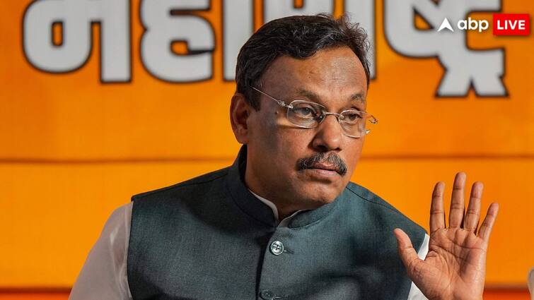 Mahayuti Will win more than 40 seats in Maharashtra Lok Sabha Election 2024 Claim BJP Vinod Tawde महाराष्ट्र लोकसभा चुनाव में कितनी सीटें जीतेगी महायुति? बीजेपी नेता ने कर दिया बड़ा दावा