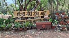 गर्मी के कारण पटना जू में दर्शकों की संख्या आधी से भी कम, कूलर लगाकर जानवरों को दी जा रही राहत