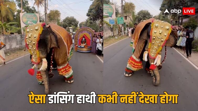 elephant dancing on rajnikant Kaavaalaa song video gets viral on social media Elephant Dancing Viral Video: रजनीकांत का गाना बजा तो नाचने लगा हाथी, सोशल मीडिया पर खूब वायरल हो रहा है वीडियो