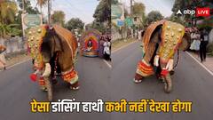 Elephant Dancing Viral Video: रजनीकांत का गाना बजा तो नाचने लगा हाथी, सोशल मीडिया पर खूब वायरल हो रहा है वीडियो