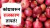Onion Export : कांद्यावरून राजकारण तापलं, विरोधक म्हणतात, हा निर्णय धूळफेक करणारा, सत्ताधाऱ्यांचंही जशाच तसं उत्तर!