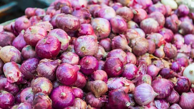 Onion Exports Government Imposes 40 Per Cent Duty On Onion Exports White Onion Farmers India Government Imposes 40 Per Cent Duty On Onion Exports