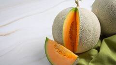 Muskmelon Seeds: खरबूजे के बीज बेकार नहीं बल्कि होते हैं बहुत ही काम की चीज, खाने से हो सकती हैं यह बीमारियां दूर