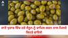 Health Benefits Of Green Olive: 'ਗ੍ਰੀਨ ਜੈਤੂਨ' ਮੋਟਾਪੇ ਨੂੰ ਕੰਟਰੋਲ ਕਰਕੇ ਦਿਲ ਦੀ ਸਿਹਤ ਦਾ ਰੱਖਦਾ ਖਿਆਲ, ਜਾਣੋ ਇਸਦੇ ਗਜ਼ਬ ਫਾਇਦੇ