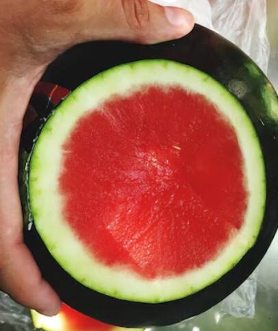 ਤਰਬੂਜ਼ ਦੇ ਛਿਲਕਿਆਂ ਵਿਚ ਬਹੁਤ ਸਾਰੇ ਫਾਇਦੇ ਦੇਖਣ ਨੂੰ ਮਿਲ ਜਾਂਦੇ ਹਨ। ਭਾਰਤ ਦੇ ਮਸ਼ਹੂਰ ਨਿਊਟ੍ਰੀਸ਼ੀਅਨ ਐਕਸਪਰਟ ਨਿਖਿਲ ਵਤਸ ਨੇ ਦੱਸਿਆ ਕਿ ਤਰਬੂਜ਼ ਦੇ ਛਿਲਕਿਆਂ ਦਾ ਰਸ ਤੁਹਾਨੂੰ ਚਿਹਰੇ ‘ਤੇ ਲਗਾਉਣਾ ਚਾਹੀਦਾ ਹੈ, ਇਸ ਨਾਲ ਚਿਹਰਾ ਖਿੜ ਜਾਂਦਾ ਹੈ।