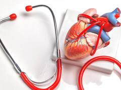 Cilantro: A Culinary Herb With Surprising Benefits For Skin, Heart, And More