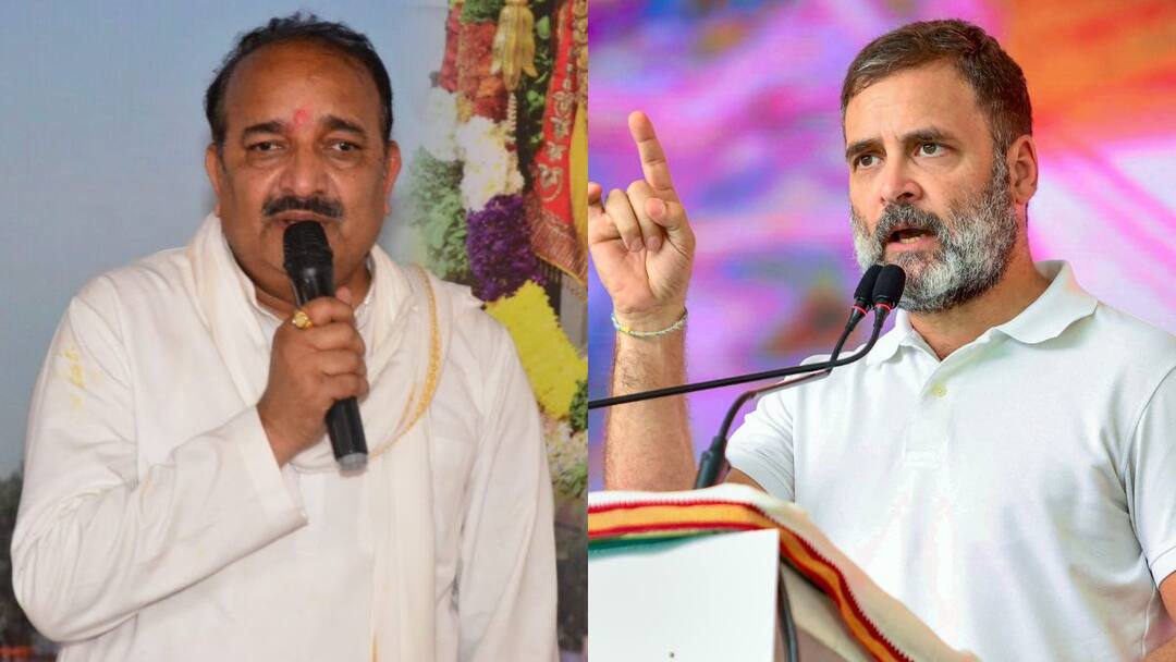 bjp-dinesh-pratap-singh-rahul-gandhi-opponent-raebareli-mocks-congress-campaign Rahul Gandhi's Raebareli Opponent Dinesh Pratap Mocks Congress's 'Feroze Gandhi-Less' Campaign