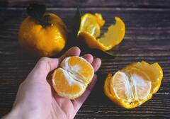 Orange Peel: संतरा के छिलके का ऐसे करें इस्तेमाल, चेहरा बनेगा खूबसूरत और चमकदार