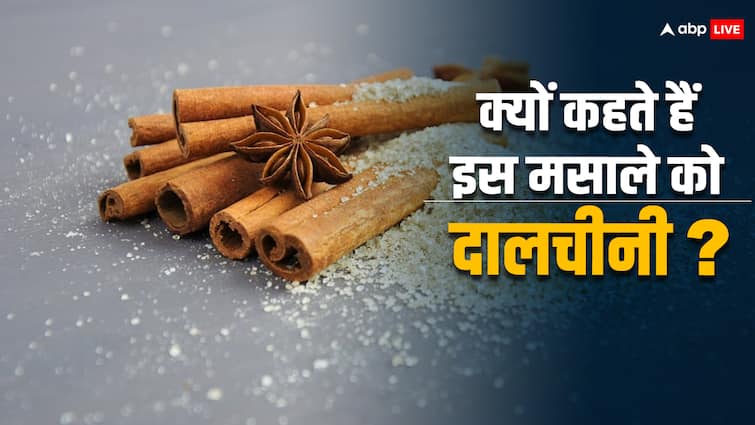 Cinnamon spice is present in every Indian kitchen how did it get the name cinnamon Cinnamon Spices: इस मसाले में ना दाल है ना चीनी... क्या आप जानते हैं फिर भी इसे क्यों कहते हैं दालचीनी?