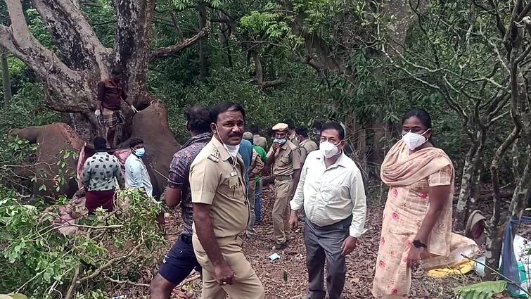 Dindigul Male elephant dies due to electrocution. Forest department investigation Dindigul: மின்சாரம் தாக்கி பரிதாபமாக உயிரிழந்த ஆண் யானை - வனத்துறை தீவிர விசாரணை