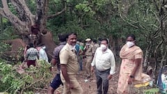 Dindigul: மின்சாரம் தாக்கி பரிதாபமாக உயிரிழந்த ஆண் யானை - வனத்துறை தீவிர விசாரணை