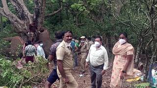 Dindigul: மின்சாரம் தாக்கி பரிதாபமாக உயிரிழந்த ஆண் யானை - வனத்துறை தீவிர விசாரணை