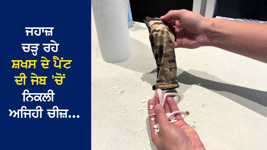 ਜਹਾਜ਼ ਚੜ੍ਹਨ ਤੋਂ ਪਹਿਲਾਂ ਫੜਿਆ ਗਿਆ ਸ਼ਖਸ, ਪੈਂਟ ਦੀ ਜੇਬ 'ਚੋਂ ਨਿਕਲੀ ਅਜਿਹੀ ਚੀਜ਼, ਡਰ ਗਏ ਸੁਰੱਖਿਆ ਕਰਮੀ The person caught before boarding the plane, such an item came out of the pants pocket, the security personnel were scared. ਜਹਾਜ਼ ਚੜ੍ਹਨ ਤੋਂ ਪਹਿਲਾਂ ਫੜਿਆ ਗਿਆ ਸ਼ਖਸ, ਪੈਂਟ ਦੀ ਜੇਬ 'ਚੋਂ ਨਿਕਲੀ ਅਜਿਹੀ ਚੀਜ਼, ਡਰ ਗਏ ਸੁਰੱਖਿਆ ਕਰਮੀ