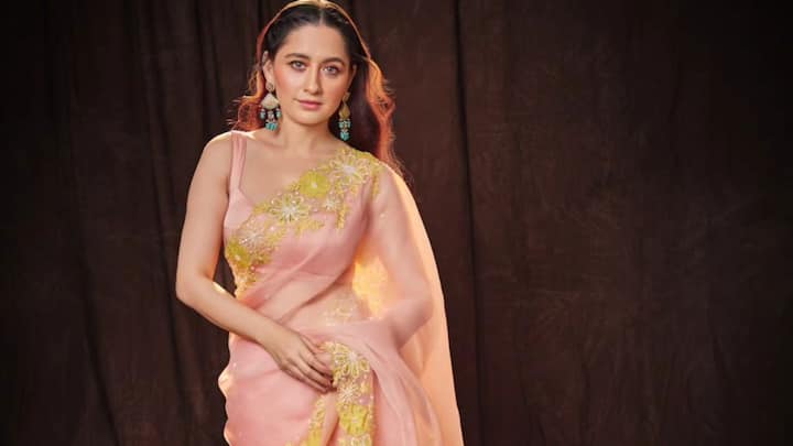 We need Sanjeeda Shaikh's organza saree for summer. See how the actress wore it for inspiration.