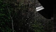 TN Rain Alert: தமிழ்நாட்டில் அடுத்த 7 நாட்களுக்கு மழைக்கு வாய்ப்பு - சென்னை வானிலை ஆய்வு மையம் தகவல்!