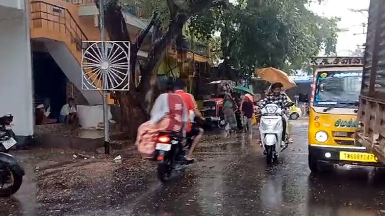 Theni and Dindigul district places sudden rain fall people are happy - TNN கொளுத்திய வெயில்... தேனி , திண்டுக்கல்லில் திடீர் மழை.. மகிழ்ச்சியில் பொதுமக்கள்