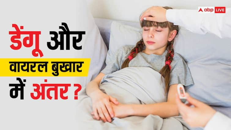 health tips dengue and viral fever symptoms difference know preventions Dengue vs Viral Fever: डेंगू और वायरल फीवर के शुरुआती लक्षण होते हैं एक जैसे, जानें कैसे करें फर्क