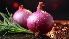 Onion Health Benefits: प्याज खाएं, बीमारियां दूर भगाएं, चेहरे पर नहीं दिखेगा उम्र का असर, जानें फायदे