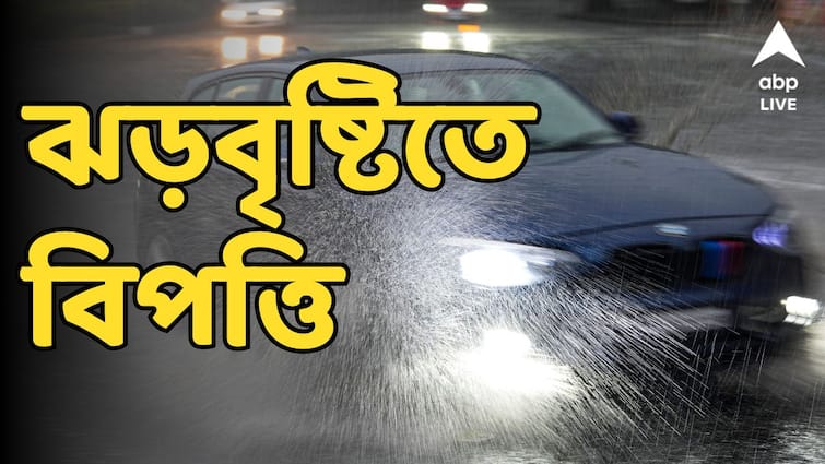 Kolkata Rain, thunderstom Sealdah south section train delay get to know full update Kolkata Rain: ঝড় বৃষ্টিতে বিপত্তি শহরে, শিয়ালদহ দক্ষিণে ব্যাহত ট্রেন চলাচল