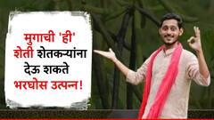 शेतकऱ्यांनो मुगाचे हे वाण शेतात लावा आणि व्हा श्रीमंत!