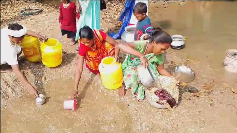 Bihar People Upset due to not getting water in Rajauli block Nawada Water crisis ANN Water Crisis: 'साहब, चुआं ही देती है जिंदगी, यही बुझाती है हमारी प्यास',  नवादा में पानी के लिए तरसते लोग
