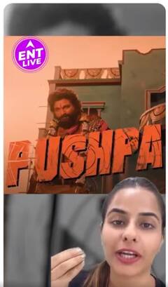 PUSHPA PUSHPA Song Reaction! Allu Arjun का ये Title Song समझ आया क्या?