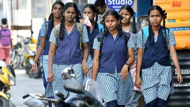 Tamil Nadu 12th Result 2024 Chennai Corporation School Percentage TN HSC Plus Two Exam Result 2024 12th Result 2024: சென்னையில் ஒரே ஒரு அரசு பள்ளி மட்டுமே 100 சதவீத தேர்ச்சி - கல்வியாளர்கள் பெரும் வேதனை