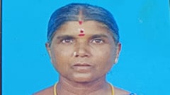 தருமபுரியில் கனமழையின்போது வீசிய சூறைகாற்று... ஒரு பெண், 11 ஆடுகள் உயிரிழப்பு