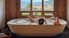 સમંથાથી લઇને દિશા સુધી, આ અભિનેત્રીઓએ જ્યારે બાથટબમાં કરાવ્યું ફોટોશૂટ