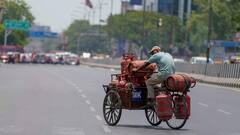 Delhi Weather: पांच मई रहा साल का सबसे गर्म दिन, पारा 41 डिग्री के पार, जानें- आज कैसा रहेगा मौसम