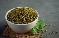 शेतकऱ्यांनो मुगाचे हे वाण शेतात लावा आणि व्हा श्रीमंत!