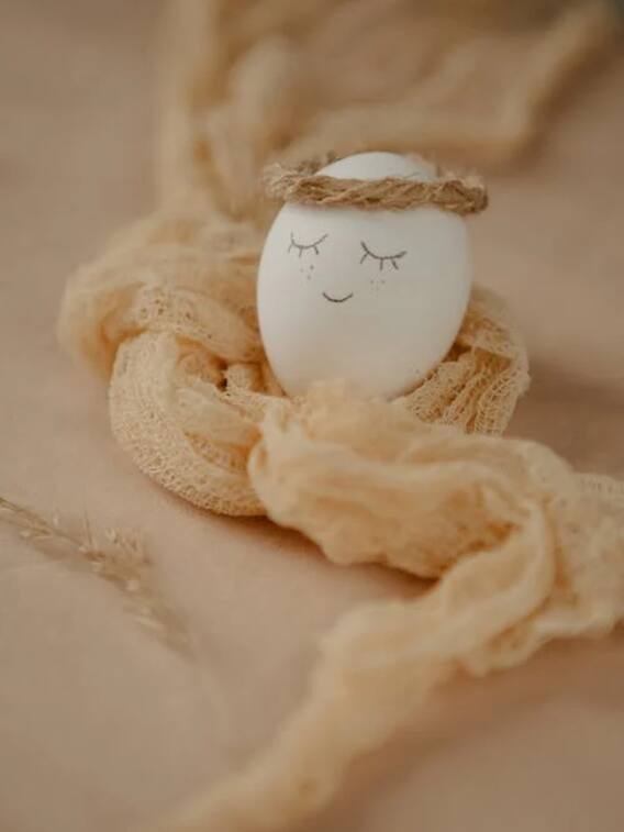 ये है दुनिया का सबसे महंगा अंडा