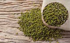 शेतकऱ्यांनो मुगाचे हे वाण शेतात लावा आणि व्हा श्रीमंत!