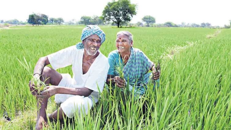 Telangana govt releases Rythu Bharosa funds to all farmers below five acres Rythu Bharosa: రైతులకు గుడ్‌న్యూస్! వారి ఖాతాల్లోకి ఆ నిధులు జమ చేసిన ప్రభుత్వం