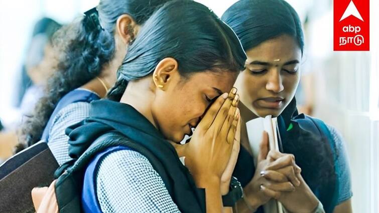 Tamil Nadu 12th Exam Result 2024 will release today TN HSC Plus Two Result Centum List Tamil Nadu 12th Result 2024: இன்று வெளியாகிறது 12ம் வகுப்பு பொதுத்தேர்வு முடிவுகள் - எங்கு, எப்படி அறியலாம்?