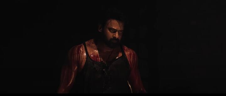 இந்த சாதாரண கதையை இயக்குநர் பிரசாந்த் நீல் அவரின் தனித்துவமான திரைக்கதையில் இயக்கி இருந்தார். 250 கோடி ரூபாய் பட்ஜெட்டில் எடுக்கப்பட்ட சலார் படம் 700 கோடி ரூபாய் வரை வசூல் செய்தது.