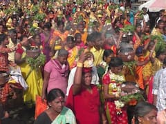 கரூர்: ராயனூர் ஸ்ரீ பால்வடித்த வேம்படியம்மன் சித்திரை திருவிழா - பக்தர்கள் நேர்த்திக்கடன்