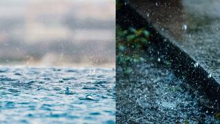 TN Rain Alert Seven districts will get heavy rain on May 8 2024 Chennai IMD TN Rain Alert: நாளை மறுநாள் 7 மாவட்டங்களில் கனமழை ஜில்லுன்னு வந்த குட் நியூஸ்!